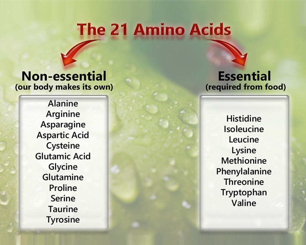 21-amino-acids.jpg